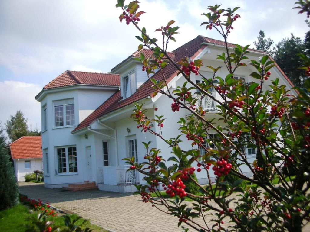Дома для отпуска Dom Wakacyjny Szydłówka - Mazury Рыдзево-59